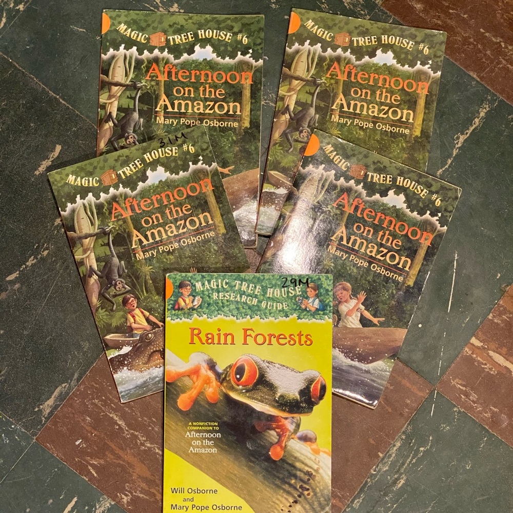 Magic Treehouse Afternoon on the Amazon Classroom Bundle w/ Rain Forest Research